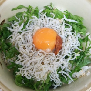 ごま油香るちりめんじゃこ丼